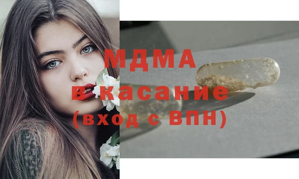 стаф Алзамай