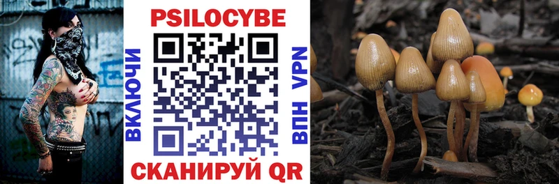 Псилоцибиновые грибы Magic Shrooms Шали