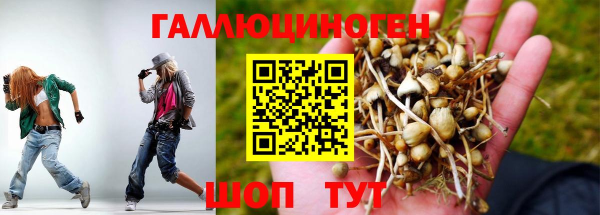 Псилоцибиновые грибы прущие грибы Шали